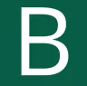 Bokia NO logo